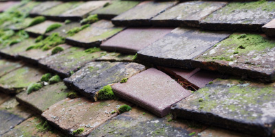 Elsworth roof repair costs